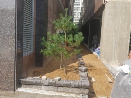 시흥 월곶 오피스텔   테라에디션S 높이특수 보강토위